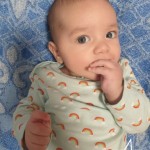 Матвій Гнед Матвій Гнед