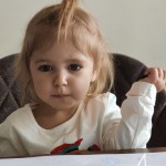 Чайка Эмили Чайка Эмили