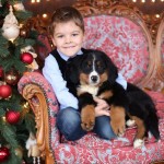 Даниил Степанов